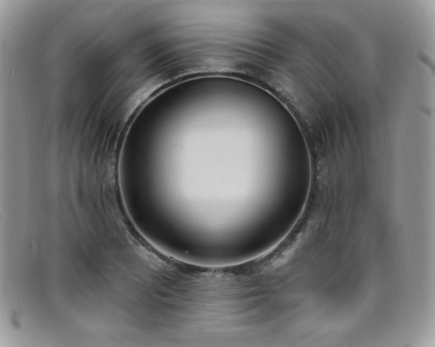 X0000099321081200805021308