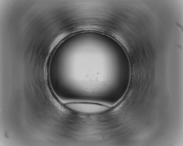 X0000099321082200805021308