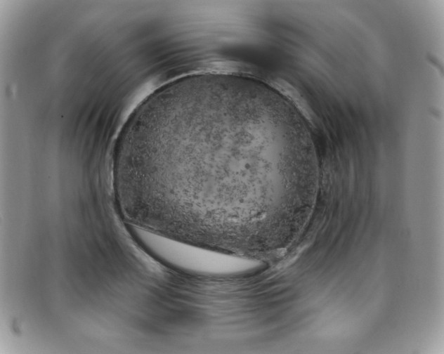 X0000099321083200805021308