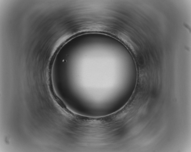 X0000099321085200805021308
