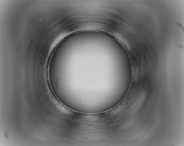 X0000099321086200805021308