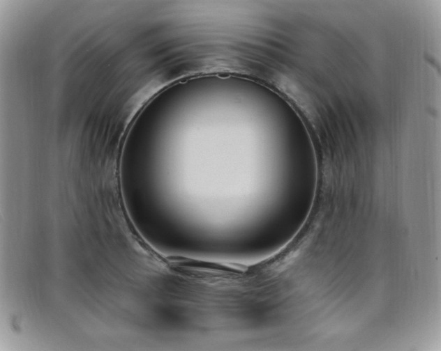 X0000099321089200805021308