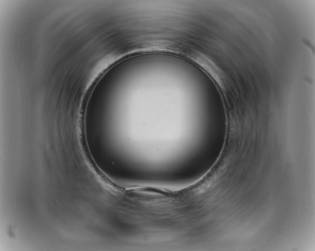 X0000099321093200805021308