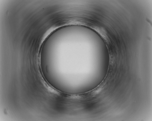 X0000099321094200805021308