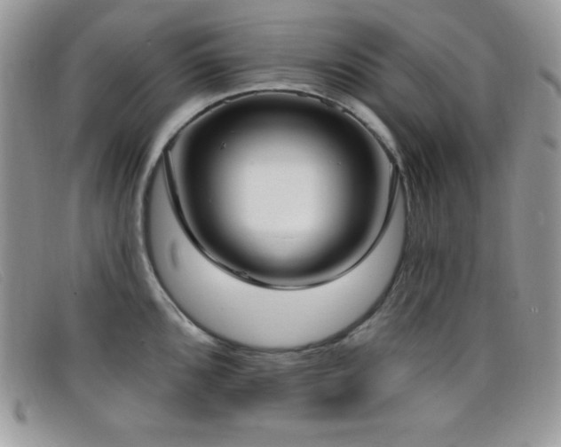X0000099321096200805021308