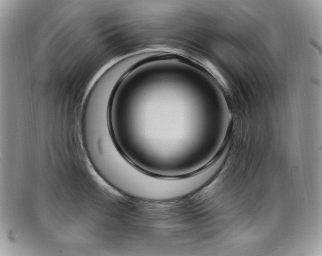 X0000099321100200805021308