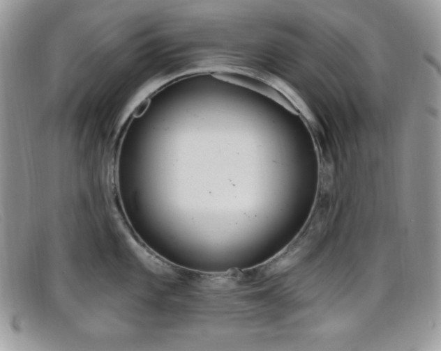 X0000099321101200805021308