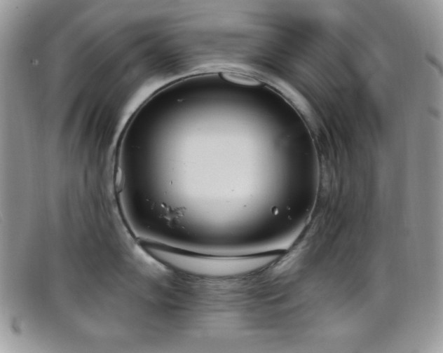 X0000099321102200805021308