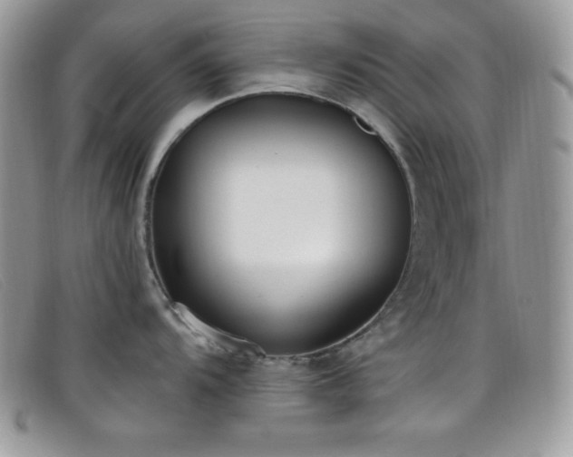 X0000099321104200805021308