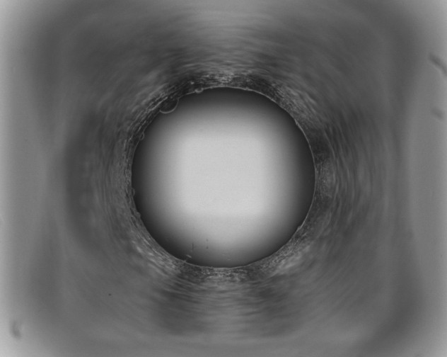 X0000099321105200805021307