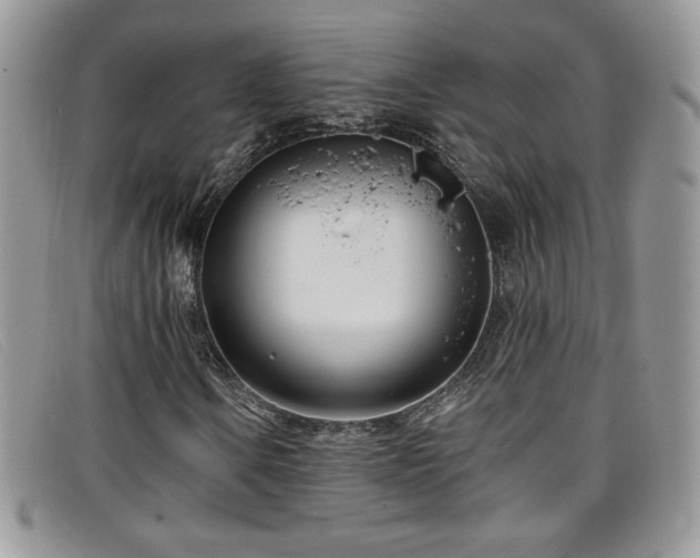 X0000099321106200805021307