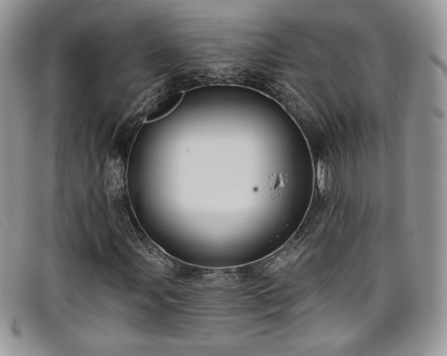 X0000099321107200805021307