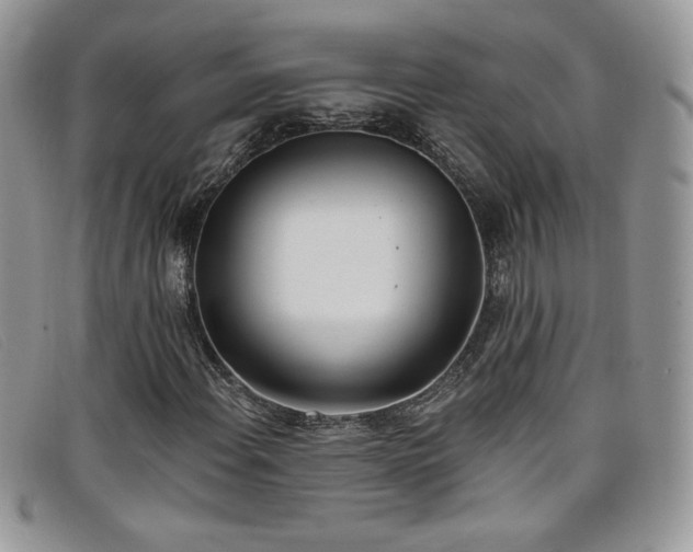 X0000099321108200805021307