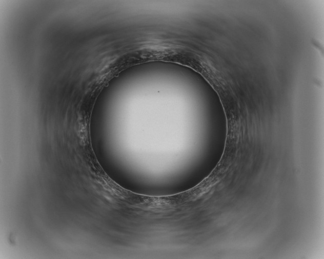 X0000099321109200805021307