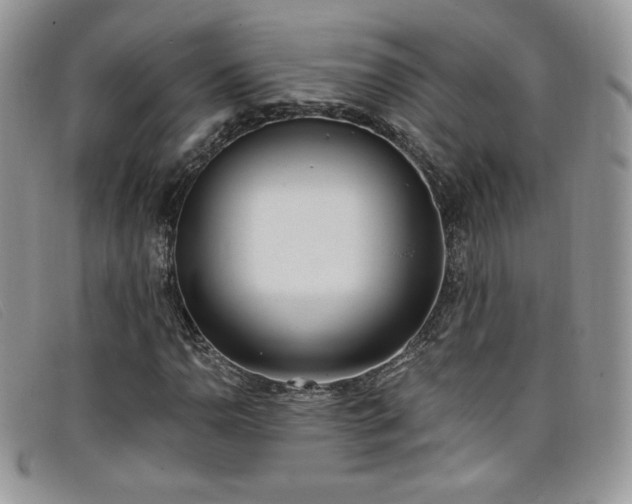X0000099321110200805021307