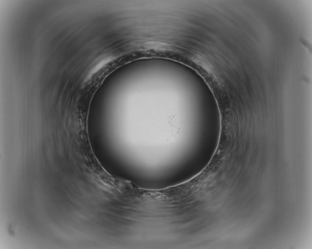 X0000099321112200805021307