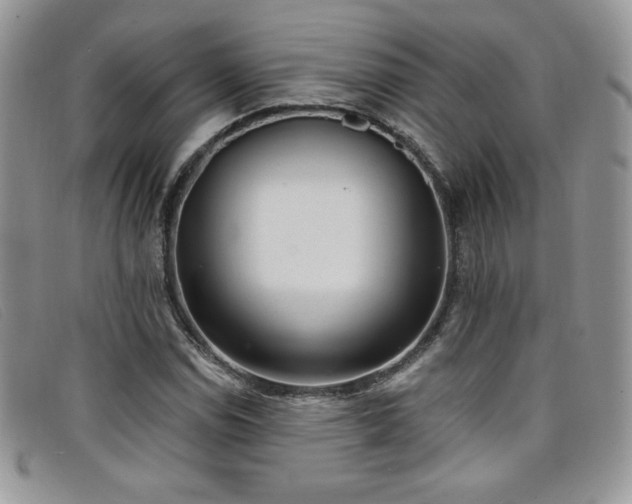 X0000099321114200805021307
