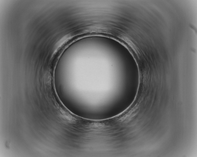 X0000099321115200805021307