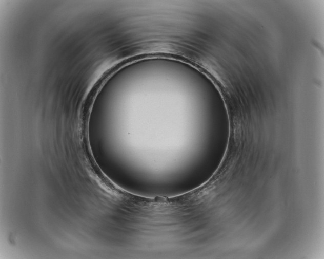 X0000099321116200805021307