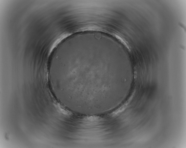X0000099321117200805021307