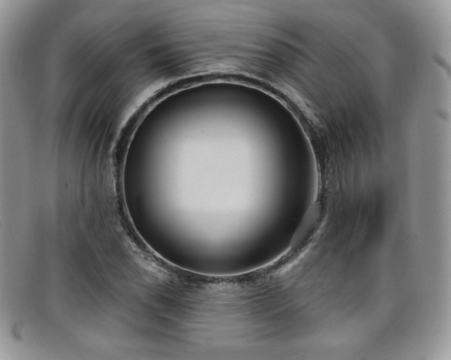 X0000099321118200805021307