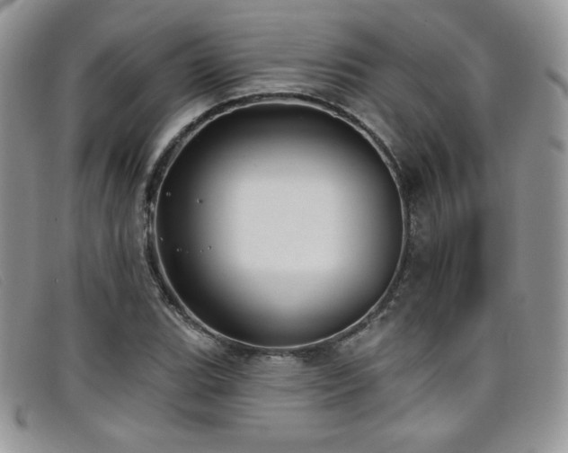 X0000099321119200805021307