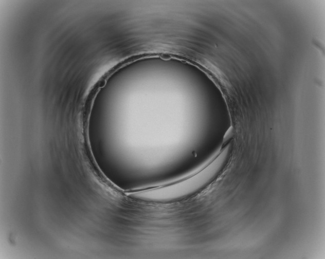 X0000099321120200805021307