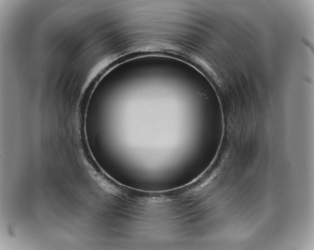 X0000099321122200805021307