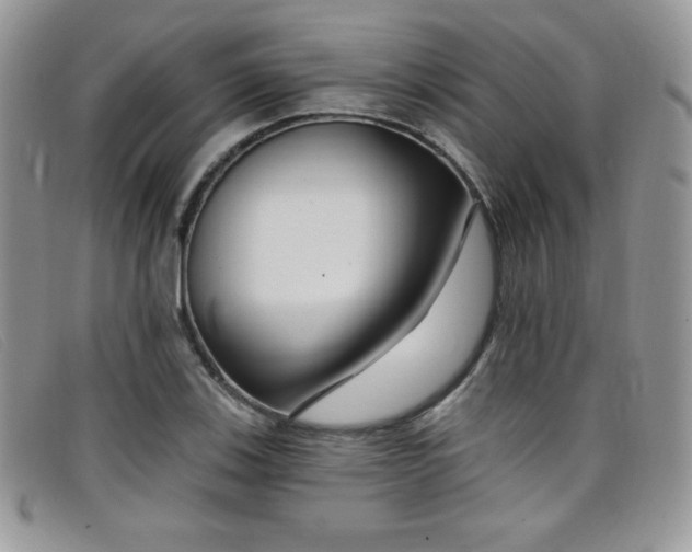 X0000099321123200805021307