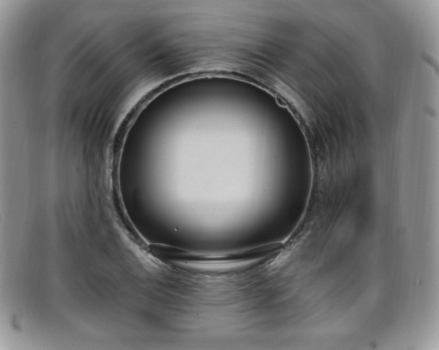 X0000099321124200805021307