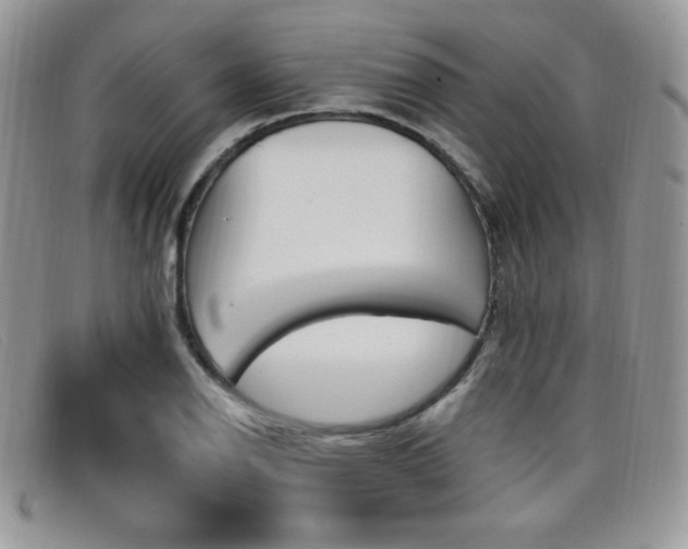 X0000099321126200805021308