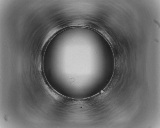 X0000099321131200805021308