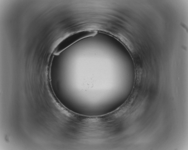 X0000099321134200805021308