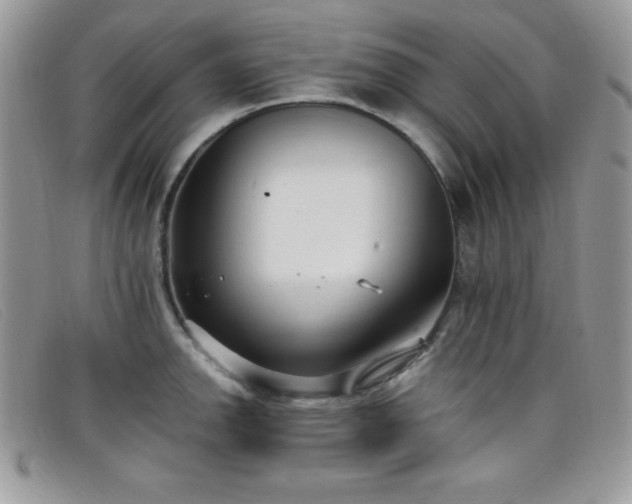 X0000099321142200805021308