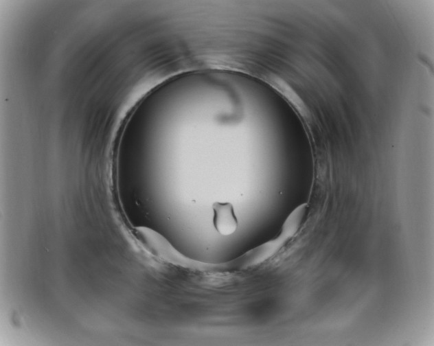X0000099321144200805021308