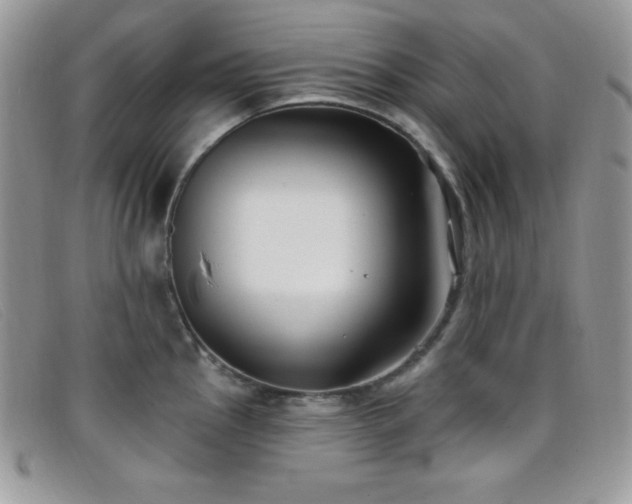 X0000099321145200805021308