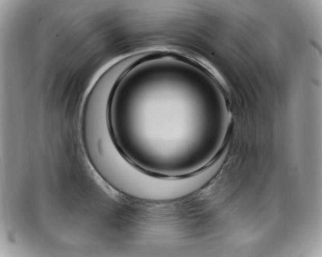 X0000099321148200805021308