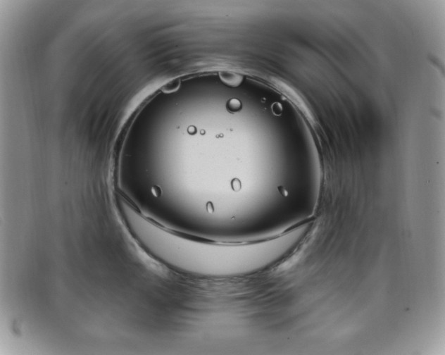 X0000099321149200805021308