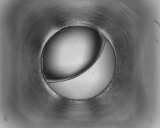 X0000099321152200805021308