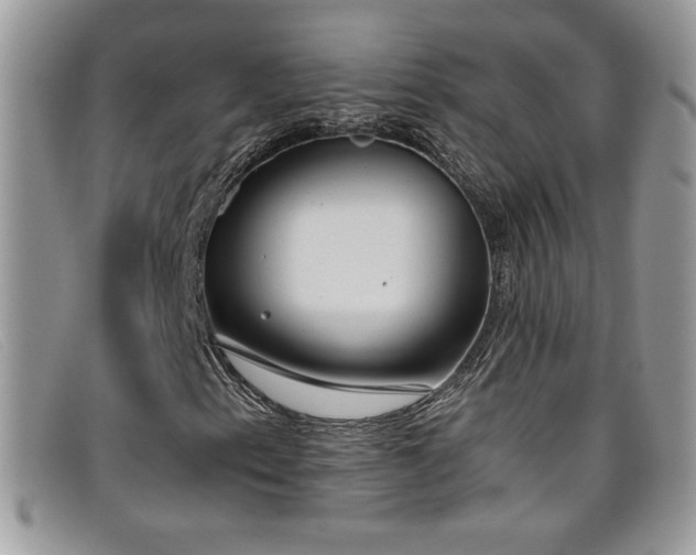 X0000099321153200805021307