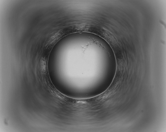 X0000099321154200805021307