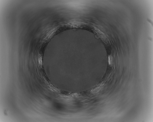 X0000099321155200805021307