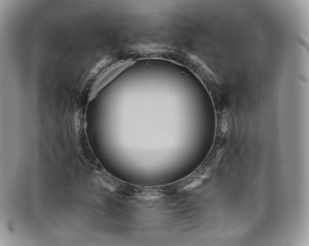 X0000099321157200805021307