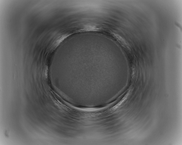 X0000099321161200805021307