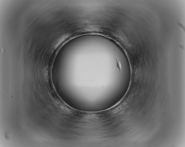 X0000099321162200805021307