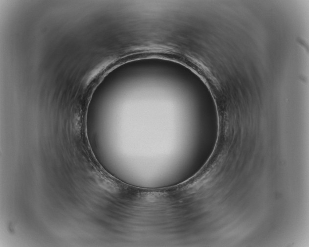 X0000099321163200805021307