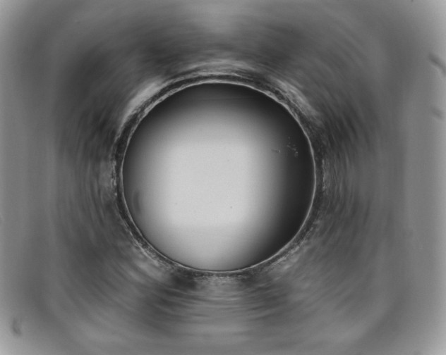 X0000099321164200805021307