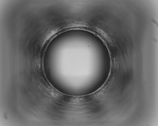 X0000099321165200805021307