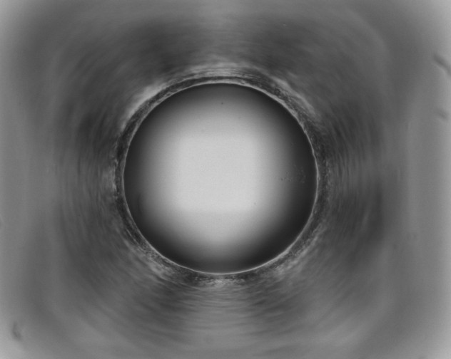 X0000099321166200805021307