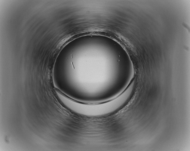 X0000099321169200805021307